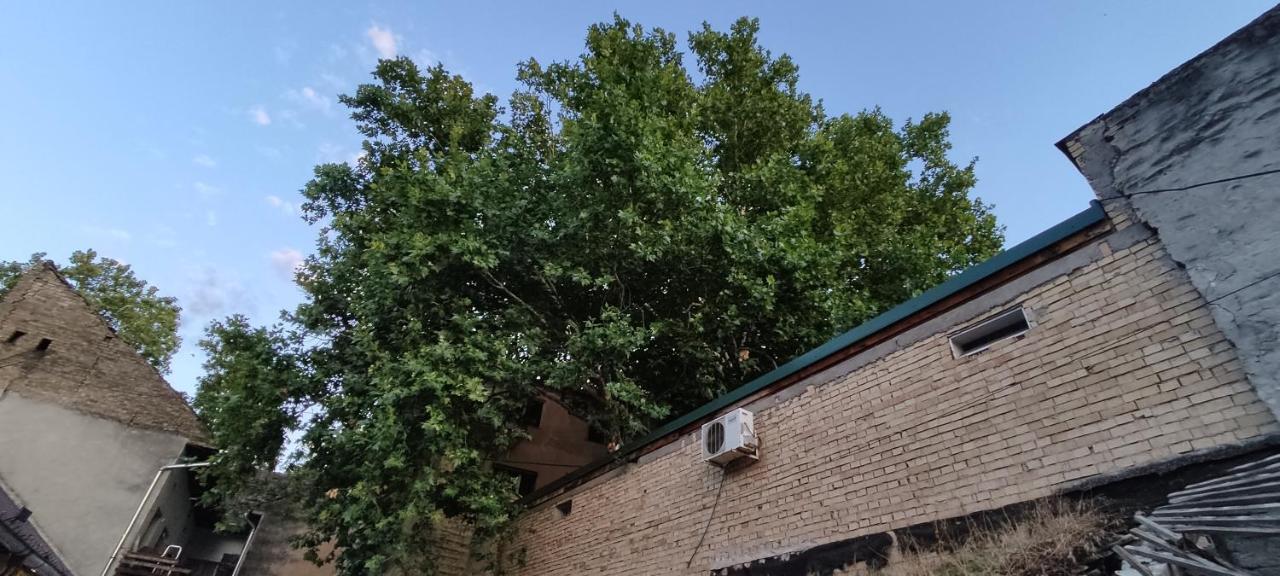Apartmani Dld Ns Novi Sad Extérieur photo